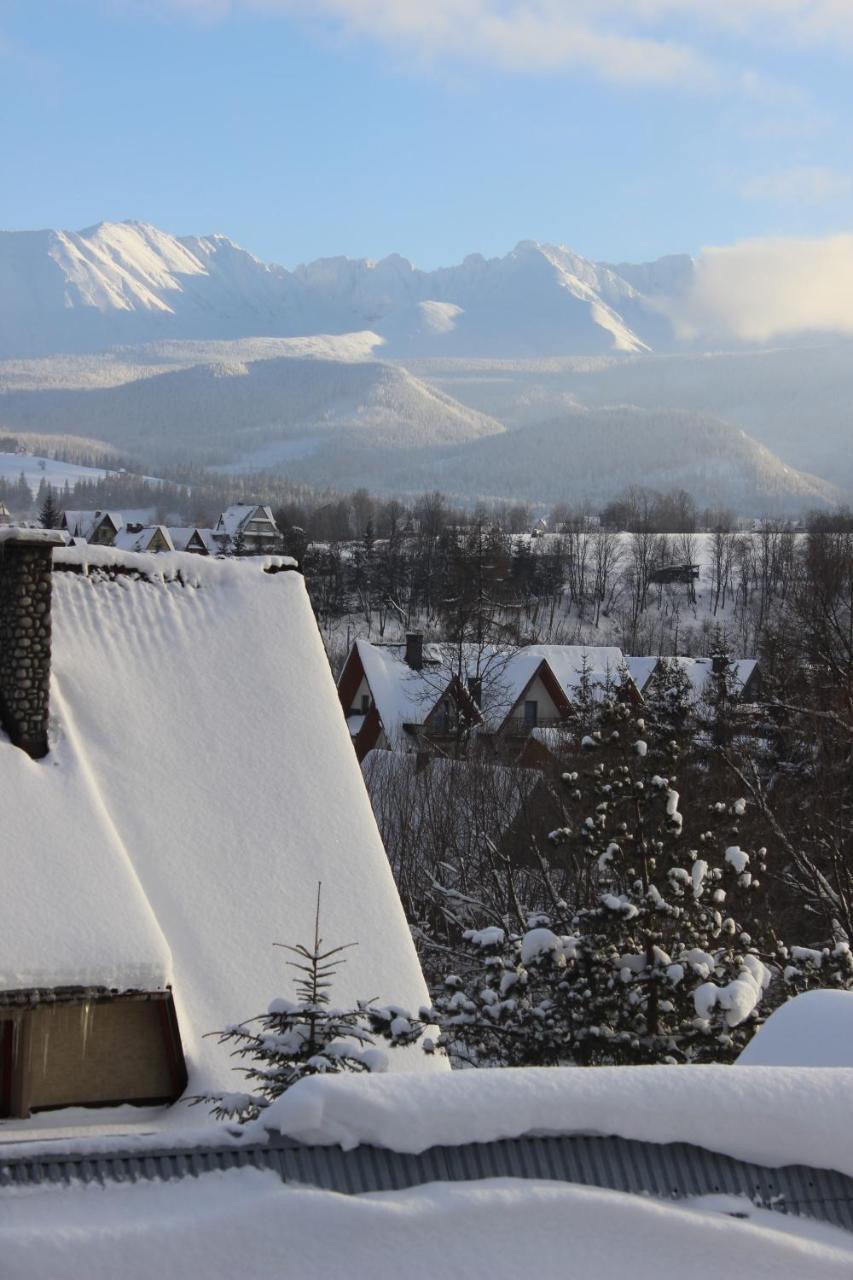 Willa Pod Zielonym Wierchem Zakopane Dış mekan fotoğraf