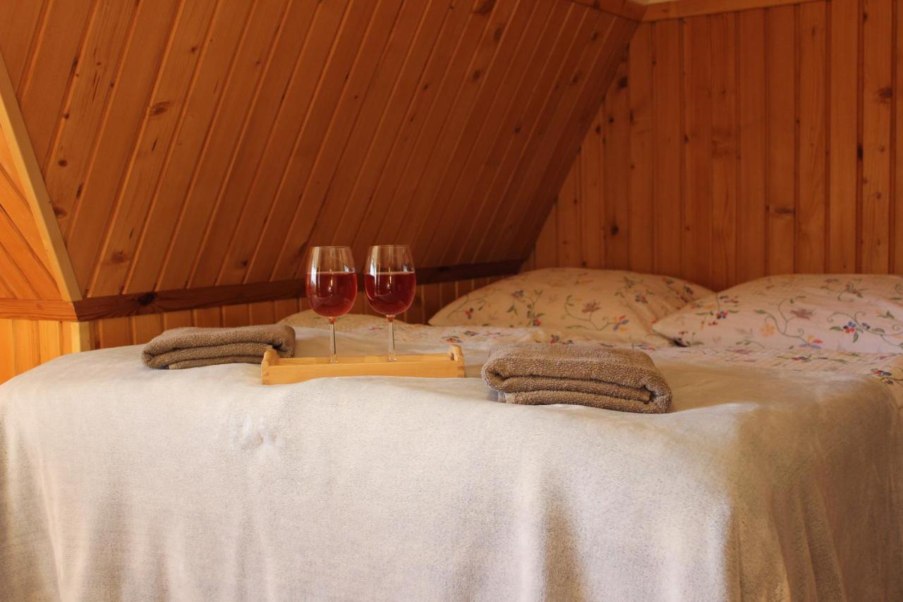 Willa Pod Zielonym Wierchem Zakopane Dış mekan fotoğraf