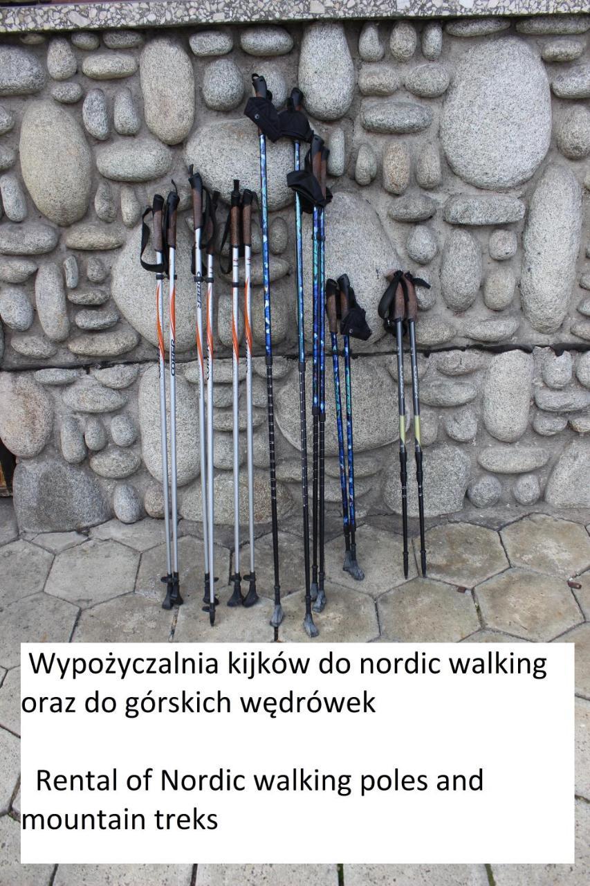 Willa Pod Zielonym Wierchem Zakopane Dış mekan fotoğraf