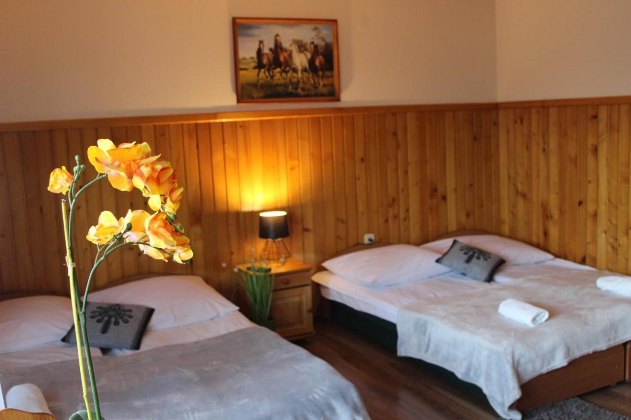 Willa Pod Zielonym Wierchem Zakopane Dış mekan fotoğraf